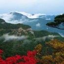 안녕하신지 이미지