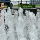 장성군청 광장 이미지