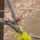 망우카페 화장실 이미지