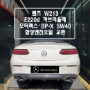 한스게러지 이미지