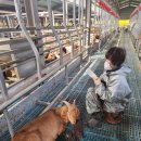 남원흑염소농장 2농장 이미지