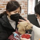 광명교회 이미지