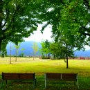 국토종주자전거길1-565 이미지