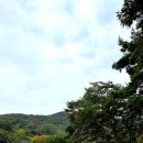 입안행복 이미지