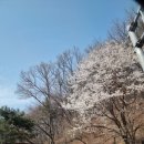 덕평공룡수목원 이미지