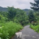 돌고개 휴 펜션 이미지