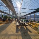 행복농장 | 화성 행복텃밭 아이와 함께하는 체험농장 후기