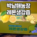 영주농장 | 박남매농장 레몬생강즙 솔직 후기 – 국내산 제주레몬 &amp; 영주생강의 신선함 가득!