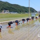 김천시농업기술센터