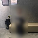 세이스마일 | 겁쟁이의 스마일프로 회복 후기(내돈내산)