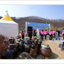 산수유마을