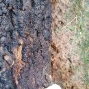 영지유치원 이미지