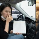 나도 할 수 있다 최고의 자동차 정비사 | 필터 갈아도 나는 자동차 쉰내, 범인은 따로 있습니다 (1만 원 해결법)