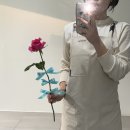 십루트이플로