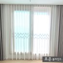 조은수입