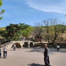 양산신-2026 네이버블로그