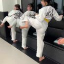 용인대미르태권도 이미지