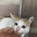 케어빌한의원 이미지