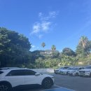 호텔 서귀피안 | 엄마도 대만족한 호텔 서귀피안 숙박 후기 + 조식(가성비 추천)