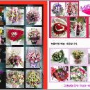 안양천로(목5동 이대목동병원) 이미지