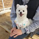 피자나라치킨공주 어양점 이미지
