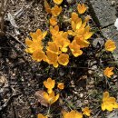 오늘은봄날 이미지