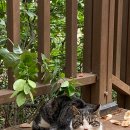 쉼표하나 이미지