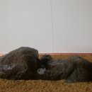 수 산 대 이미지