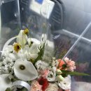 연진 | [웨딩] 오우드하우스 웨딩촬영 후기 (연진아 작가님)