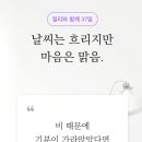 엄마사랑김밥 이미지