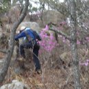 암태중학교 이미지