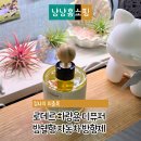 로데르 차량용 디퓨저 밤쉘향 후기 은은한 자동차 방향제 추천