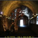 와인터널주차장 이미지