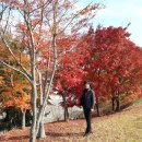 박제상기념관 이미지