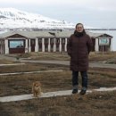 노르웨이세탁 이미지