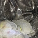 햇빛세탁 이미지