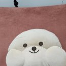릿지뷰티부산서면