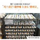 문어빵빵 | 중앙동 먹거리 디저트 맛집 [여수맛나당본점 딸기모찌&문어빵] 키스링 교황빵 치즈 마늘 택배 솔직후기