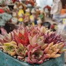 향원슈퍼 이미지