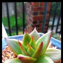 빅마마미용실 이미지