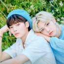 stay(스태이) 이미지