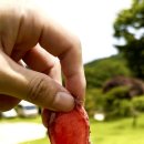 병걸농장 이미지