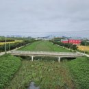 송포배수펌프장 이미지