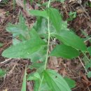 고사마을 이미지