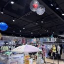 아레나 수영복 청주점