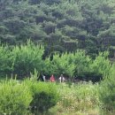 유림태권도장 이미지