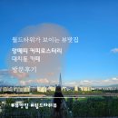 포스트커피로스터리 | 대치동] 루프탑 테라스에서 즐기는 아아 한잔 [앙떼띠 커피로스터리] 방문후기