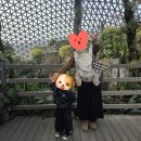 정글비 - 북구 화명대로 44 | [거제 아이랑] [거제식물원 정글돔 후기🌿] 비 오는 날에도 좋은 가족 나들이 장소! 🧡📸🌴