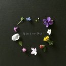 실버건강댄스1 이미지