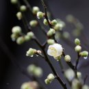 촉촉이네 이미지